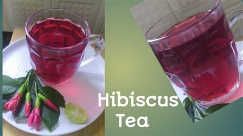 how to prepare hibiscus tea for weight loss and the influence of tea on human health