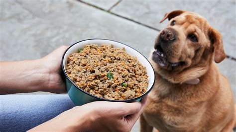 what does chicken meal mean in dog food